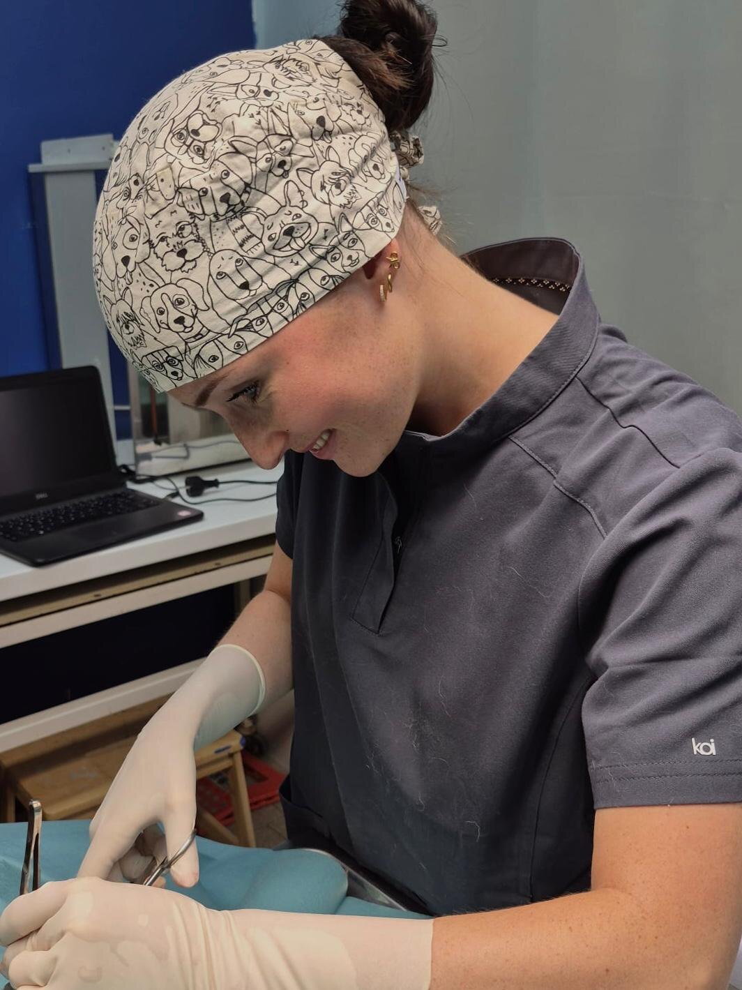 Geste clinique en cours, gants et instruments, en tenue vétérinaire.